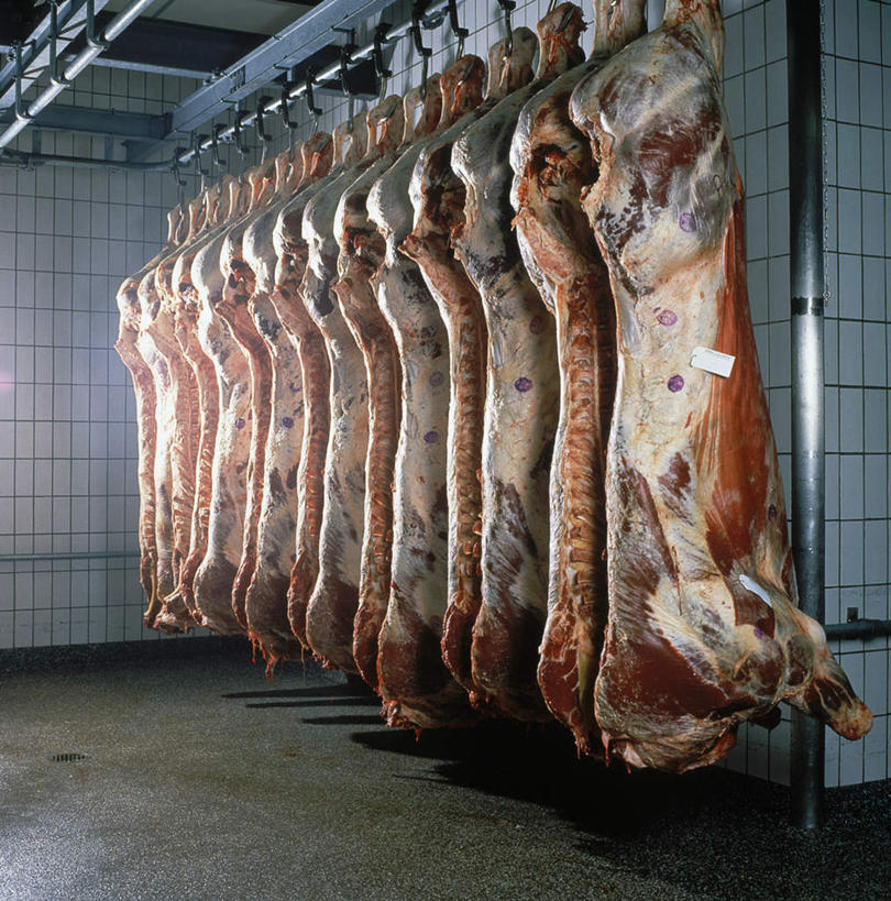 无人,竖图,室内,特写,白天,正面,一排,许多,吊挂,悬挂,整齐,瓷砖,墙,肉,地面,很多,挂,猪肉,肉类,墙壁,墙面,排列,队列,肉食,豚肉,屠宰场,彩图