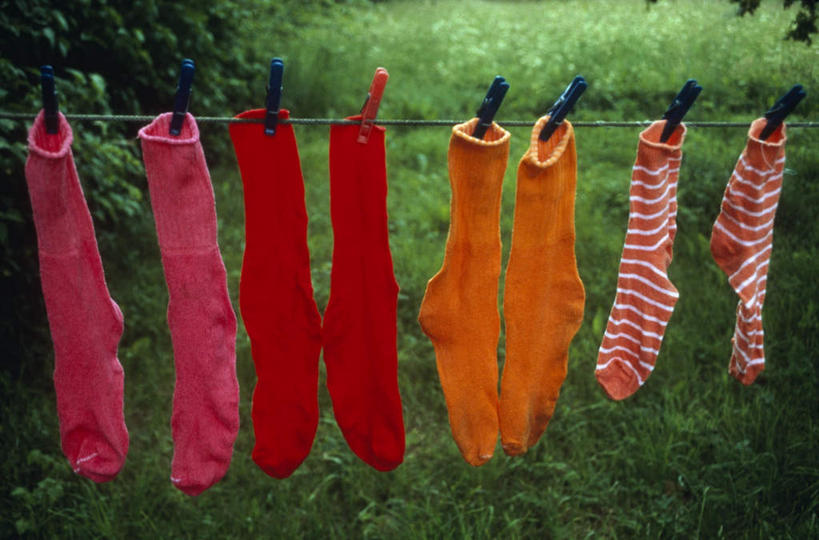 无人,横图,俯视,室外,特写,白天,草地,草坪,植物,一排,许多,吊挂,悬挂,阴影,整齐,光线,影子,塑料,很多,挂,干净,袜子,草,树,树木,排列,绿色,阳光,自然,夹子,晾衣绳,绳子,塑料制品,清洁,生长,成长,棉袜,队列,衣夹,晾干,洁净,洗涤,彩图,高角度拍摄