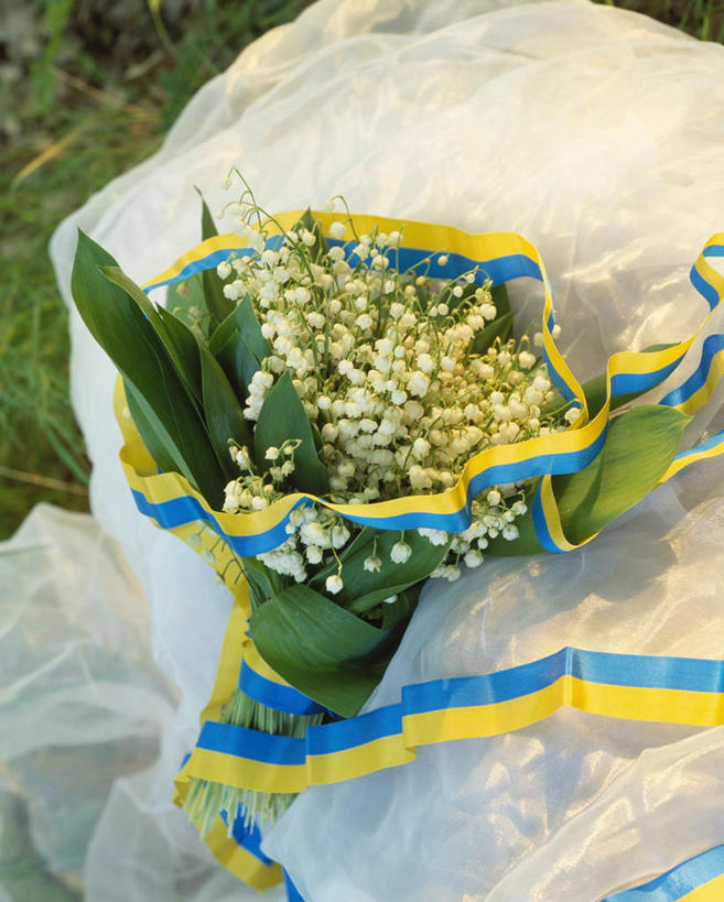 无人,竖图,俯视,室外,特写,白天,阴影,朦胧,模糊,装饰,盛开,光线,影子,塑料,花蕾,花,花瓣,花朵,鲜花,白色,阳光,塑料制品,花束,花苞,花蕊,华丽,修饰,点缀,尼龙,衬托,美观,雅致,雅观,彩图,高角度拍摄