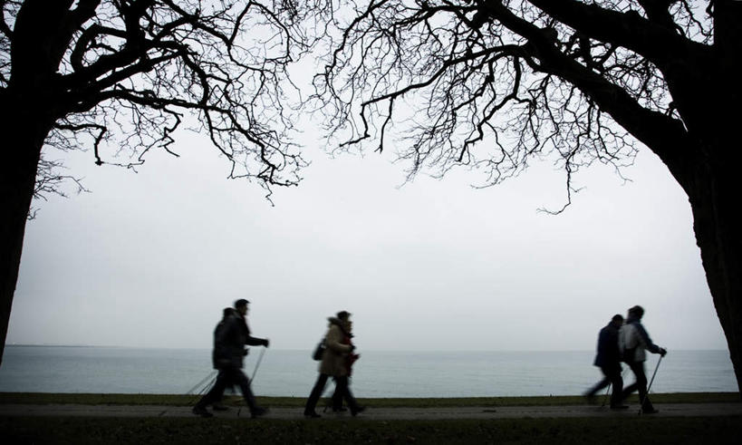 西方人,四个人,伙伴,朋友,走,横图,室外,白天,侧面,旅游,度假,友谊,美景,欧洲,欧洲人,握,阴影,光线,工具,器材,影子,景观,背光,拿,拿着,娱乐,阳光,自然,享受,休闲,器械,景色,放松,握着,拐杖,自然风光,逆光,登山杖,辅助设备,登山棍,友情,男人,男性,年轻男性,年轻女性,女人,女性,白种人,步行,登山,爬山,散步,走路,彩图,全身