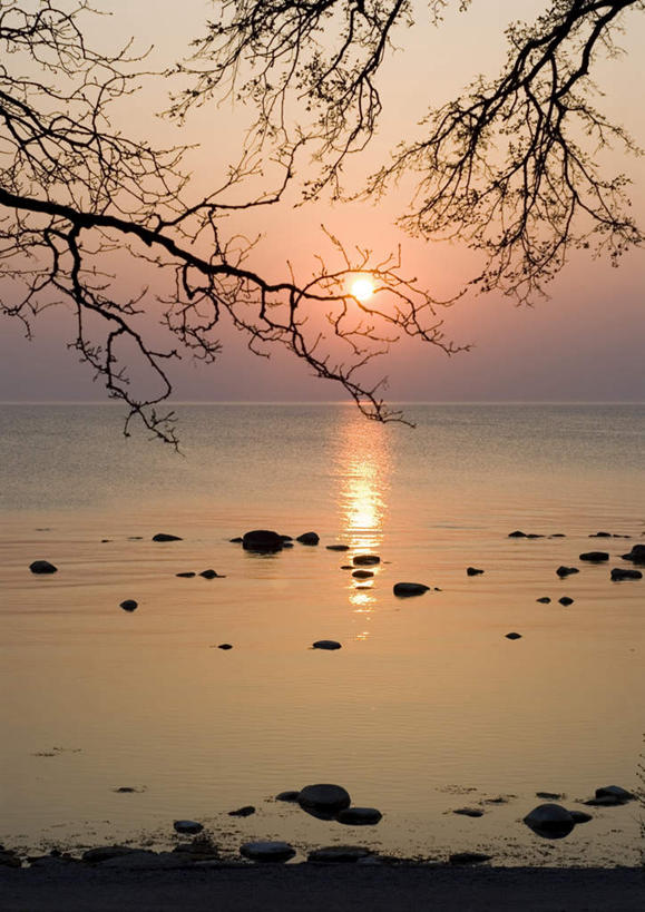 无人,竖图,俯视,室外,白天,海浪,海洋,石头,美景,日落,沙滩,太阳,植物,瑞典,欧洲,阴影,波纹,平静,光线,沙子,石子,影子,海岸,景观,浪花,晚霞,霞光,落日,枝条,沙地,树,树木,树枝,水纹,阳光,自然,海水,黄昏,波浪,景色,彩霞,安静,宁静,一望无际,斯堪的纳维亚,静谧,自然风光,北欧,斯堪的纳维亚半岛,海景,沉静,恬静,安祥,僻静,清静,太平,哥得兰岛,哥得兰省,哥特兰,哥特兰省,瑞典王国,无边无际,一马平川,夕照,虬枝,枝杈,大海,风浪,海,海水的波动,海滩,近岸浪,石块,岩石,涌浪,夕阳,彩图,高角度拍摄,斜阳