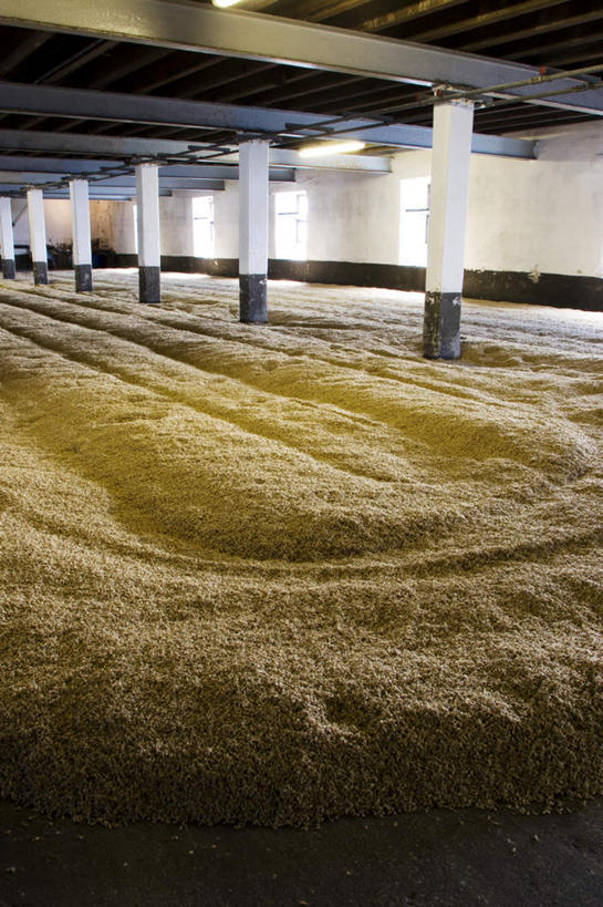 无人,竖图,室内,白天,正面,农作物,小麦,窗户,一堆,一排,许多,收成,阴影,堆叠,堆积,整齐,光线,影子,柱子,墙,谷物,很多,玻璃窗,墙壁,墙面,排列,阳光,麦子,收获,堆,队列,劳绩,彩图