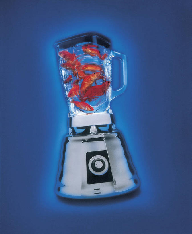 游泳,无人,竖图,室内,白天,正面,机器,金属制品,一群,许多,阴影,光线,金属,金鱼,鱼,影子,灯光,很多,鱼类,海洋生物,一个,红色,机械,单个,游动,放置,搁置,安排,搅拌机,水生动物,豆浆机,水生物,海底动物,观赏鱼,金鲫鱼,彩图,全身