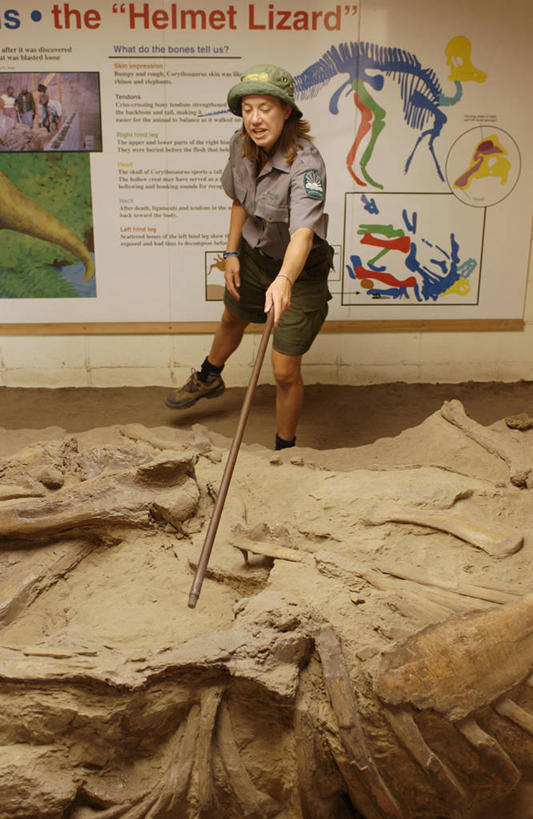 西方人,一个人,公园,站,说,竖图,室外,白天,正面,工作服,制服,讨论,欧洲,加拿大,欧洲人,仅一个女性,仅一个人,握,阴影,光线,结构,化石,英文,标志,棍子,文字,影子,字符,字母,泥土,土壤,构造,拿,拿着,标识,一只,阳光,站着,仅一个中年女性,握着,恐龙,英文字母,死亡,组织,北美,北美洲,美洲,凶猛,阿尔伯塔省,阿尔伯塔,北亚美利加洲,亚美利加洲,殒命,灭亡,工作制服,灭尽,灭绝,史前动物,艾伯塔,艾伯塔省,机关,亚伯达,省立恐龙公园,交流,凶残,女人,女性,中年女性,白种人,沟通,讲话,交谈,商讨,说话,谈话,站立,彩图,全身,工作套服,阿尔伯塔省恐龙公园,阿省,艾省,亚伯达省,亚省