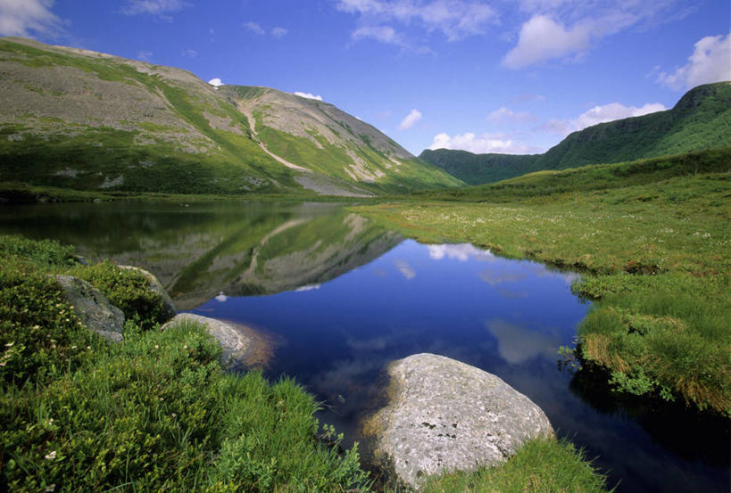 无人,公园,横图,室外,白天,正面,旅游,度假,草地,草坪,河流,石头,美景,山,山脉,水,植物,加拿大,阴影,光线,石子,影子,河水,景观,山峰,水流,云,云朵,山峦,云彩,娱乐,草,树,树木,蓝色,绿色,白云,倒影,蓝天,天空,阳光,自然,群山,天,享受,休闲,景色,放松,生长,晴朗,成长,倒映,北美,北美洲,国家公园,自然风光,美洲,北亚美利加洲,亚美利加洲,格罗斯莫讷国家公园,纽芬兰,纽芬兰省,反照,石块,岩石,晴空,彩图