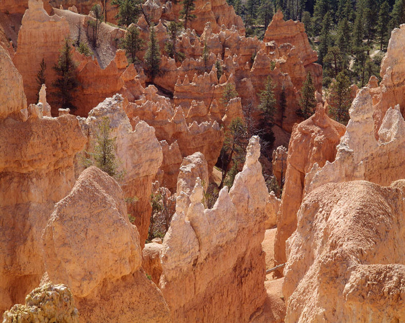 无人,公园,横图,俯视,室外,白天,旅游,度假,石头,美景,树林,植物,美国,粗糙,石子,景观,悬崖,娱乐,树,树木,绿色,自然,享受,休闲,陡峭,景色,放松,高低,生长,成长,凹凸,毛糙,北美,北美洲,国家公园,犹他州,自然风光,美洲,北亚美利加洲,亚美利加洲,犹他,蜂窝之州,蜂房州,布莱斯国家公园,布莱斯峡谷,布莱斯峡谷国家公园,绝壁,笔陡,峻峭,石块,岩石,彩图,高角度拍摄,粗拙