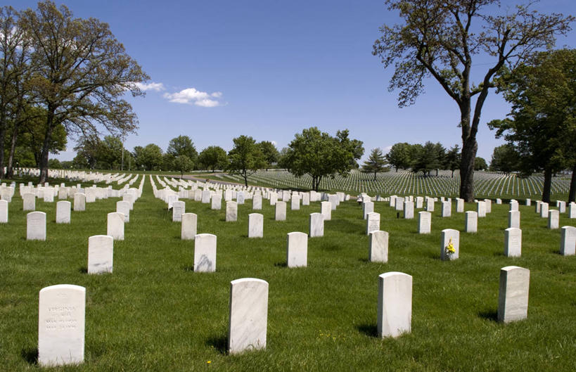 无人,横图,室外,白天,正面,旅游,度假,草地,草坪,石头,植物,标志建筑,城市,地标,建筑,美国,一排,阴影,整齐,光线,石子,影子,云,云朵,建筑群,云彩,娱乐,建设,草,树,树木,排列,蓝色,绿色,白云,蓝天,天空,阳光,自然,墓碑,天,享受,休闲,墓地,旅游胜地,放松,生长,晴朗,成长,纪念,留念,北美,北美洲,队列,美洲,怀念,坟场,北亚美利加洲,亚美利加洲,密苏里,密苏里州,索证之州,圣路易斯,圣卢易斯,圣路易士,记念,石块,岩石,晴空,彩图