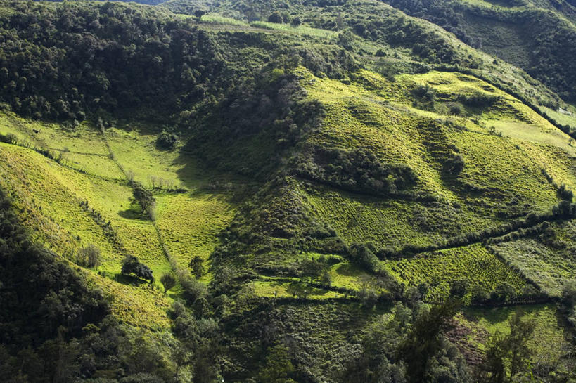 无人,农田,农场,横图,俯视,航拍,室外,白天,旅游,度假,畜牧业,牧场,庄稼,农作物,美景,森林,树林,植物,厄瓜多尔,阴影,光线,影子,景观,娱乐,树,树木,绿色,阳光,自然,享受,休闲,景色,南美,放松,生长,成长,南美洲,拉丁美洲,鸟瞰,自然风光,美洲,畜牧,牧业,亚美利加洲,南亚美利加洲,厄瓜多尔共和国,彩图,高角度拍摄,耕地,庄稼田,因巴布拉,因巴布拉省