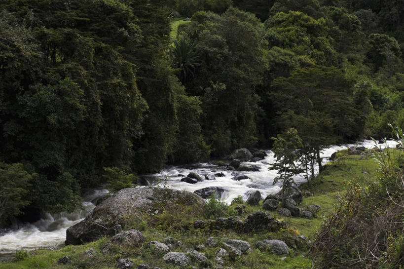 无人,横图,俯视,室外,白天,旅游,度假,河流,石头,美景,瀑布,森林,树林,水,植物,厄瓜多尔,阴影,飞溅,溅,光线,石子,液体,影子,河水,景观,流水,水滴,水流,娱乐,水珠,树,树木,绿色,阳光,自然,享受,休闲,景色,南美,放松,茂密,流动,茂盛,生长,成长,南美洲,拉丁美洲,喷洒,自然风光,美洲,亚美利加洲,南亚美利加洲,厄瓜多尔共和国,跌水,石块,岩石,彩图,高角度拍摄,因巴布拉,因巴布拉省