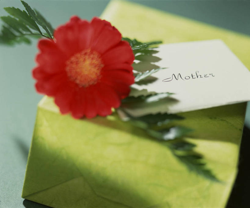 无人,横图,俯视,室内,特写,白天,爱情,幸福,纯洁,热情,玫瑰,礼盒,礼物,叶子,阴影,朦胧,模糊,鲜艳,光线,包装纸,影子,纸盒,绿叶,玫瑰花,贺卡,浪漫,美丽,漂亮,盒子,一朵,包装盒,礼品盒,温暖,温馨,嫩叶,恩爱,礼品,和睦,优美,生日礼物,摩登,感动,艳丽,尊敬,斑斓,标致,瑰丽,娇艳,锦绣,娟秀,俊丽,奇丽,俏丽,时兴,秀丽,天真,刺玫花,徘徊花,叶,叶片,彩图,高角度拍摄,融洽