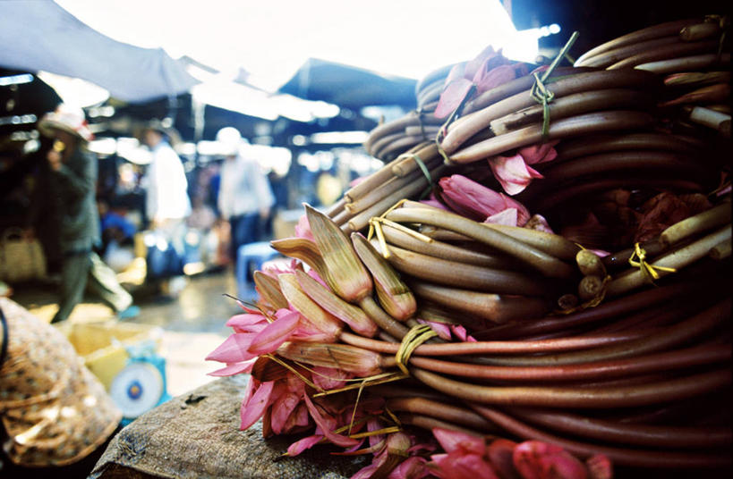 无人,商店,横图,室外,白天,正面,石头,一堆,阴影,堆叠,堆积,朦胧,模糊,盛开,光线,石子,影子,市场,花蕾,商铺,摊贩,花,花瓣,花朵,鲜花,粉色,阳光,花苞,花蕊,堆,捆绑,绑缚,市肆,商号,石块,岩石,彩图,店铺