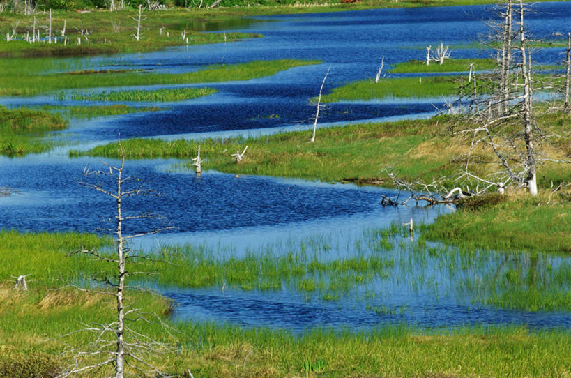 无人,横图,俯视,室外,白天,旅游,度假,草地,草坪,河流,美景,水,植物,加拿大,阴影,波纹,平静,光线,影子,河水,景观,水流,娱乐,草,树,树木,绿色,水纹,阳光,自然,波浪,享受,休闲,景色,安静,放松,生长,成长,宁静,北美,北美洲,静谧,自然风光,美洲,北亚美利加洲,亚美利加洲,沉静,恬静,安祥,僻静,清静,太平,纽芬兰,彩图,高角度拍摄,纽芬兰.拉布拉多,纽芬兰.拉布拉多省,纽芬兰岛