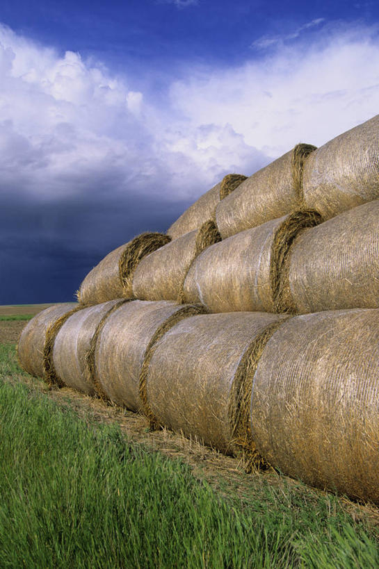 无人,竖图,室外,白天,正面,旅游,度假,草地,草原,美景,植物,加拿大,一堆,一排,阴影,堆叠,堆积,整齐,光线,影子,景观,旷野,云,云朵,云彩,娱乐,草,排列,蓝色,绿色,白云,蓝天,天空,阳光,自然,草垛,天,享受,休闲,景色,放松,晴朗,堆,北美,北美洲,队列,自然风光,原野,美洲,北亚美利加洲,亚美利加洲,萨省,萨斯喀彻温省,晴空,彩图