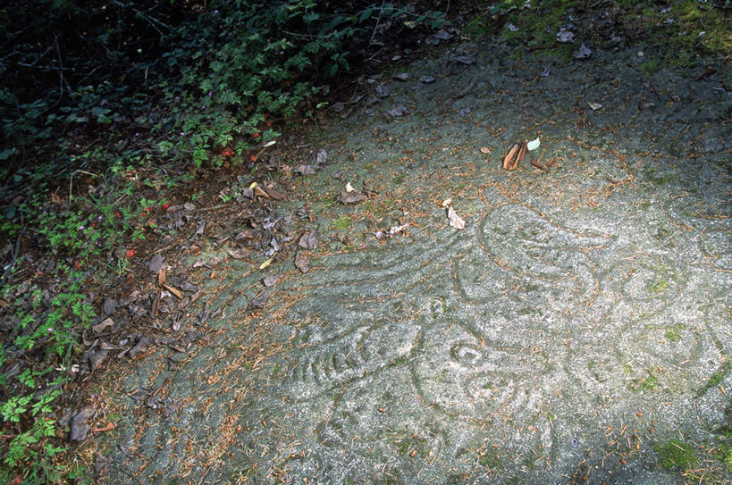 无人,横图,俯视,室外,特写,白天,绘画,草地,草坪,植物,加拿大,艺术,装饰,墙,泥土,土壤,文化,壁画,墙壁,墙面,草,绿色,华丽,修饰,点缀,北美,北美洲,美洲,北亚美利加洲,亚美利加洲,衬托,美观,雅致,雅观,魁北克省,画画,彩图,高角度拍摄