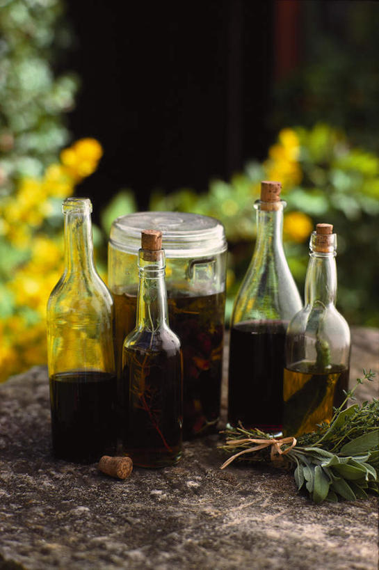 无人,竖图,室外,特写,白天,正面,草地,植物,叶子,玻璃,阴影,朦胧,模糊,光线,罐子,影子,泥土,土壤,橄榄油,绿叶,玻璃制品,草,绿色,阳光,自然,玻璃瓶,瓶子,嫩叶,生长,成长,广口瓶,叶,叶片,彩图