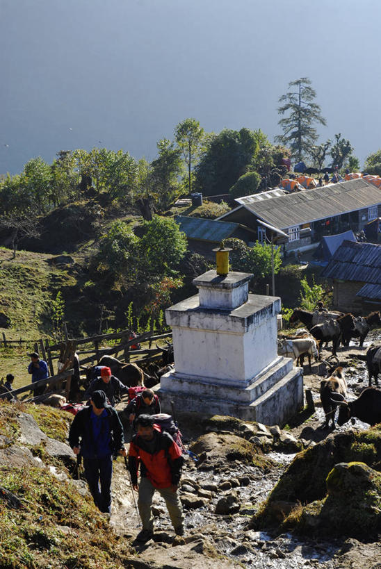 两个人,家庭,夫妻,走,竖图,俯视,室外,白天,爱情,旅游,度假,草地,草坪,美景,山,山脉,植物,印度,亚洲,阴影,服装,光线,包,书包,影子,景观,山峰,山峦,浪漫,休闲装,娱乐,草,树,树木,衣服,绿色,阳光,自然,背包,群山,享受,休闲,温暖,温馨,一家人,休闲服,景色,恩爱,放松,恋人,服饰,生长,成长,和睦,自然风光,南亚,印度共和国,锡金,锡金邦,男人,男性,年轻男性,年轻女性,女人,女性,年轻人,夫妇,情侣,步行,散步,走路,彩图,高角度拍摄,全身,伴侣,融洽,双肩包