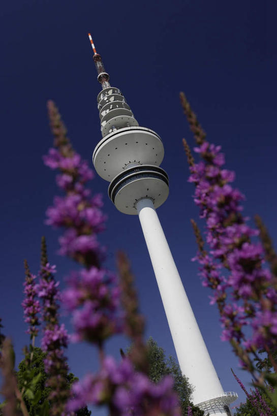 无人,竖图,室外,白天,仰视,度假,美景,城市风光,城市,德国,欧洲,许多,阴影,盛开,光线,密集,影子,景观,云,云朵,汉堡,粉红,花蕾,云彩,娱乐,花,花瓣,花朵,鲜花,蓝色,白云,蓝天,天空,阳光,自然,天,花苞,花蕊,享受,休闲,景色,放松,西欧,自然风光,德意志联邦共和国,通信塔,汉堡市,鳞集,辘集,麋集,彩图,低角度拍摄,海港