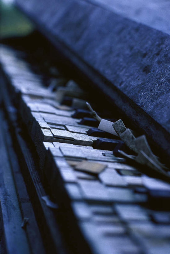无人,竖图,俯视,室内,特写,白天,键盘,一排,废弃,阴影,整齐,并列,并排,生锈,光线,影子,钢琴,乐器,琴键,排列,阳光,腐蚀,侵蚀,键盘乐器,队列,平行,腐化,废除,锈迹斑斑,彩图,高角度拍摄