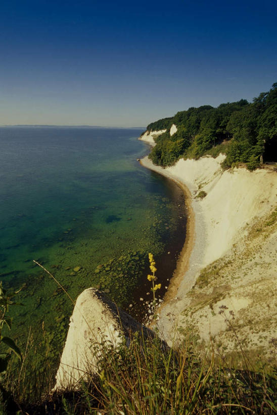 无人,竖图,俯视,室外,白天,旅游,度假,草地,草坪,海浪,海洋,美景,植物,德国,欧洲,一排,许多,阴影,整齐,光线,影子,景观,浪花,水平线,辽阔,海平线,很多,娱乐,草,树,树木,排列,蓝色,绿色,蓝天,天空,阳光,自然,海水,天,享受,休闲,广阔,景色,放松,生长,晴朗,成长,一望无际,夸耀,西欧,队列,自然风光,海景,万里无云,德意志联邦共和国,无边无际,一马平川,炫耀,大海,风浪,海,海水的波动,近岸浪,涌浪,晴空,晴空万里,彩图,高角度拍摄,水天相接,水天一线