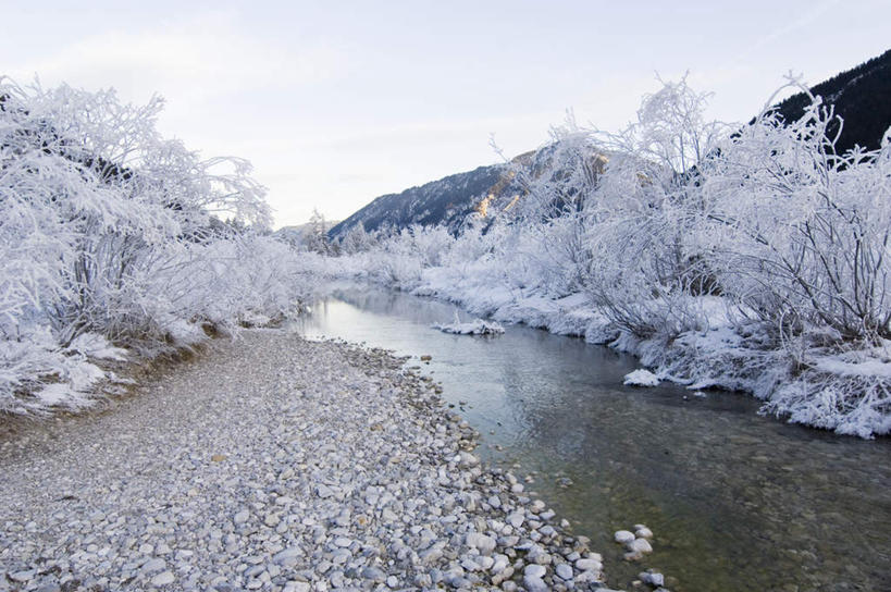 无人,横图,室外,白天,正面,旅游,度假,河流,石头,美景,水,雪,植物,大雪,奥地利,欧洲,日本,亚洲,波纹,石子,河水,积雪,景观,水流,雪景,冬季,冬天,涟漪,霜,娱乐,树,树木,水纹,自然,波浪,享受,休闲,景色,放松,寒冷,生长,成长,自然风光,东亚,中欧,本州,本州岛,日本国,中部地方,水晕,日本阿尔卑斯山脉,严寒,奥地利共和国,石块,彩图