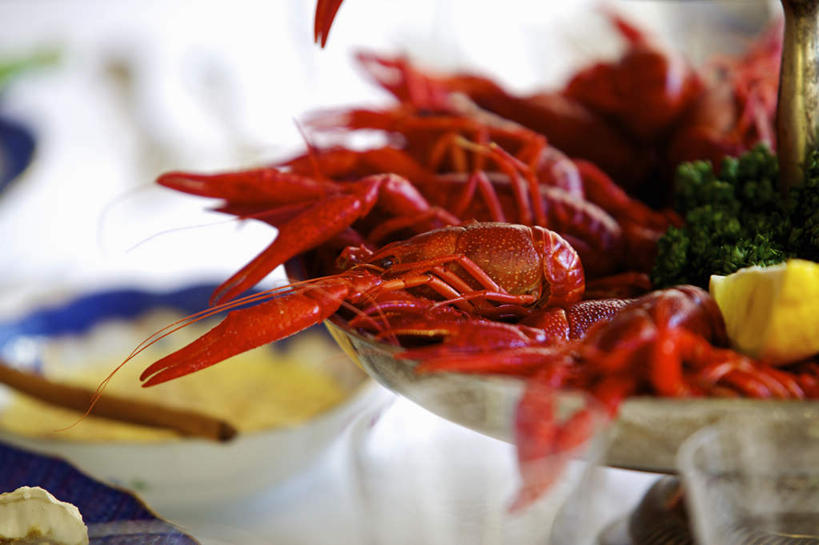 无人,横图,俯视,室内,特写,白天,餐桌,桌子,柠檬,杯子,水果,许多,阴影,朦胧,模糊,新鲜,反射,影子,陶瓷,生食,食品,果实,陶瓷制品,很多,玻璃制品,食物,黄色,容器,水杯,碗,有机食品,绿色食品,餐台,小龙虾,储藏,储存,淡水小龙虾,红螯虾,克氏原螯虾,剌蛄,玻璃杯,益母果,柠果,彩图,高角度拍摄,贮存