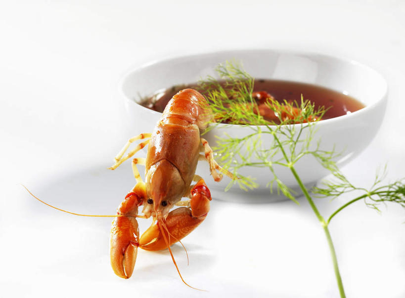 无人,横图,俯视,室内,特写,白天,白色背景,烹饪,西餐,叶子,阴影,反射,影子,陶瓷,料理,食品,绿叶,陶瓷制品,菜肴,美食,食物,一个,一只,容器,碗,嫩叶,西式,摄影,佳肴,影棚,单个,小龙虾,储藏,储存,淡水小龙虾,红螯虾,克氏原螯虾,剌蛄,叶,叶片,彩图,高角度拍摄,影棚拍摄,拍摄,贮存