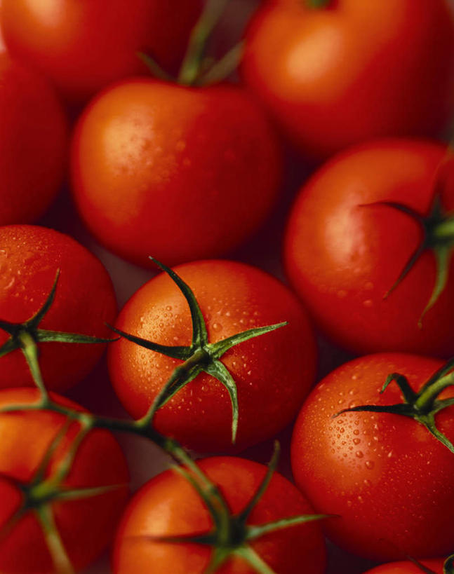 无人,竖图,俯视,室内,特写,白天,桌面,桌子,蔬菜,西红柿,叶子,许多,阴影,新鲜,光线,木制,影子,水滴,食品,绿叶,很多,食物,红色,木制品,嫩叶,有机食品,绿色食品,水点,叶,叶片,番茄,彩图,高角度拍摄