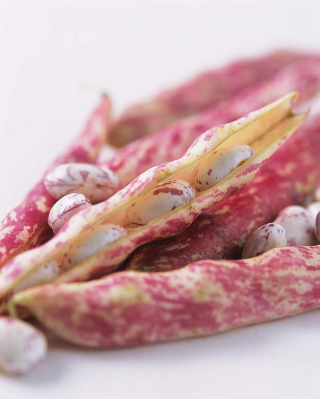 无人,竖图,俯视,室内,特写,白天,白色背景,植物,桌面,桌子,豆,蔬菜,阴影,朦胧,模糊,新鲜,光线,木制,影子,豆类,豆子,刀豆,食品,四季豆,食物,木制品,摄影,有机食品,绿色食品,影棚,芸豆,豆科,菜豆,二季豆,白肾豆,架豆,玉豆,去豆,多花菜豆,彩图,高角度拍摄,影棚拍摄,拍摄