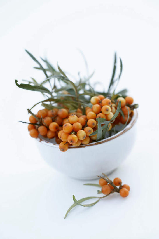 无人,竖图,俯视,室内,特写,白天,白色背景,植物,水果,叶子,一堆,许多,阴影,堆叠,堆积,新鲜,光线,纹理,影子,陶瓷,生食,食品,果实,绿叶,陶瓷制品,很多,食物,绿色,容器,碗,嫩叶,摄影,有机食品,绿色食品,影棚,储藏,堆,储存,肌理,黑刺,黄酸刺,酸刺,酸刺柳,醋柳,沙棘,叶,叶片,叶脉,彩图,高角度拍摄,影棚拍摄,拍摄,贮存