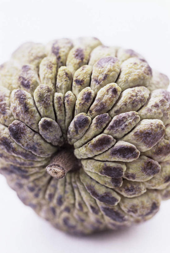 无人,竖图,俯视,室内,特写,白天,白色背景,餐桌,桌子,水果,阴影,新鲜,光线,影子,生食,食品,果实,食物,一个,番荔枝,摄影,有机食品,绿色食品,影棚,单个,餐台,释迦,佛头果,凤梨释迦,蜜释迦,释迦凤梨,彩图,高角度拍摄,影棚拍摄,拍摄