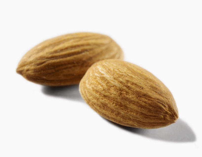 无人,横图,俯视,室内,特写,白天,白色背景,杏仁,阴影,光线,影子,灯光,坚果,果实,两颗,干果,摄影,影棚,杏子,杏梅仁,杏核仁,木落子,苦杏仁,彩图,高角度拍摄,影棚拍摄,拍摄