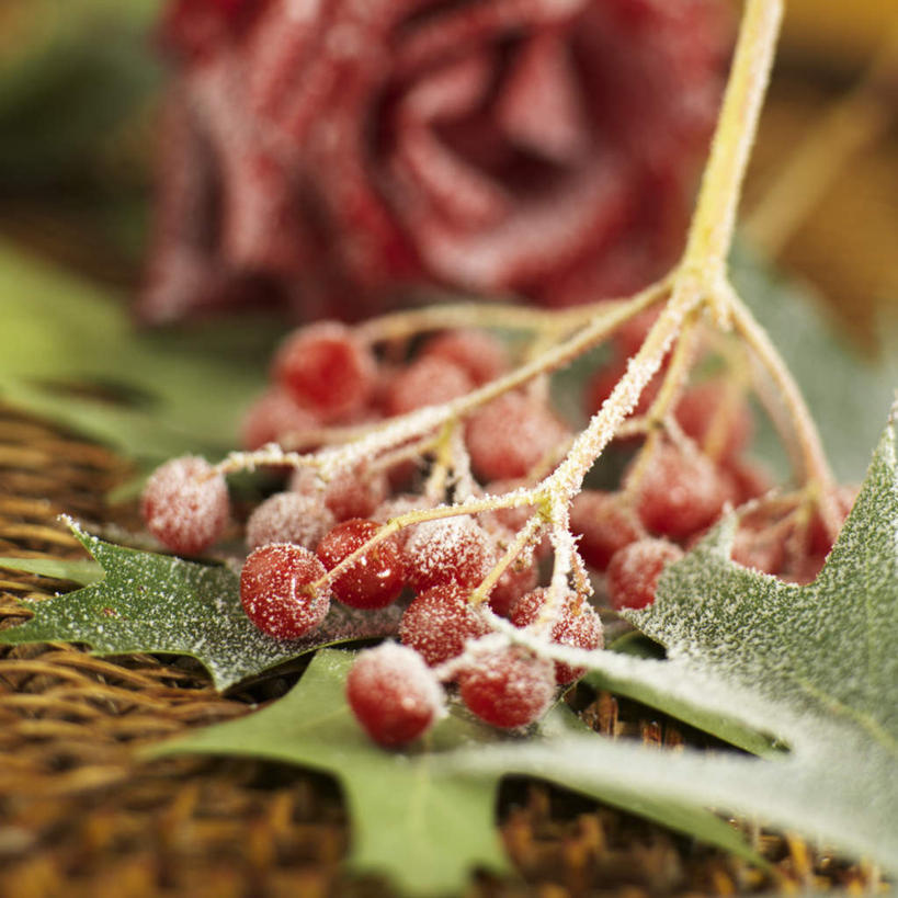 无人,方图,俯视,室内,特写,白天,爱情,幸福,纯洁,热情,植物,桌面,桌子,玫瑰,叶子,圣诞节,阴影,节日,朦胧,模糊,庆祝,装饰,盛开,反射,木制,纹理,影子,绿叶,玫瑰花,浪漫,花蕾,文化,藤制,花,花瓣,花朵,鲜花,一朵,绿色,木制品,花苞,花蕊,庆典,温暖,温馨,嫩叶,恩爱,冬青,纪念,希望,华丽,修饰,点缀,和睦,生命,藤制品,感动,肌理,槲寄生,冻青,衬托,美观,雅致,雅观,尊敬,丰饶,天真,刺玫花,徘徊花,叶,叶片,叶脉,彩图,高角度拍摄,融洽