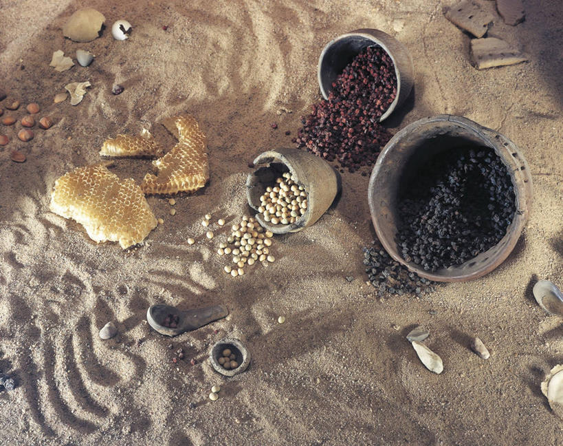 无人,横图,俯视,室外,特写,浆果,灰色背景,沙子,食品,种子,历史,饮食,古代,灰色,碗,摄影,考古学,健康食物,古代文明,彩图,高角度拍摄,石器时代,传统文化,过去