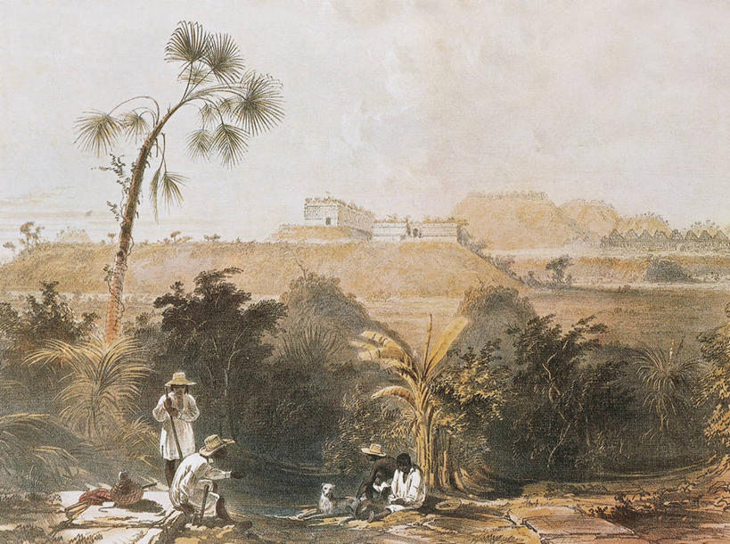 成年人,横图,插画,室外,白天,数码,科技,棕榈树,墨西哥,阴影,网络,许多人,高光,几何,计算机图形,合成,图画,画,树,一群人,职业,摄影,电脑合成图,数码合成图,合成图,拉丁美洲,漫画,恰帕斯州,尤卡坦州,写实,具体,具象,男人,彩图