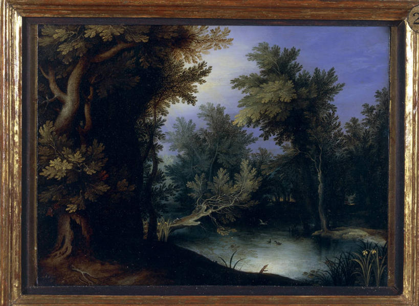 无人,横图,室外,白天,旅游,度假,美景,森林,水,相框,景观,枝,娱乐,风景,天空,自然,享受,休闲,景色,放松,摄影,宁静,沼泽,自然风光,彩图,比荷卢三国关税同盟