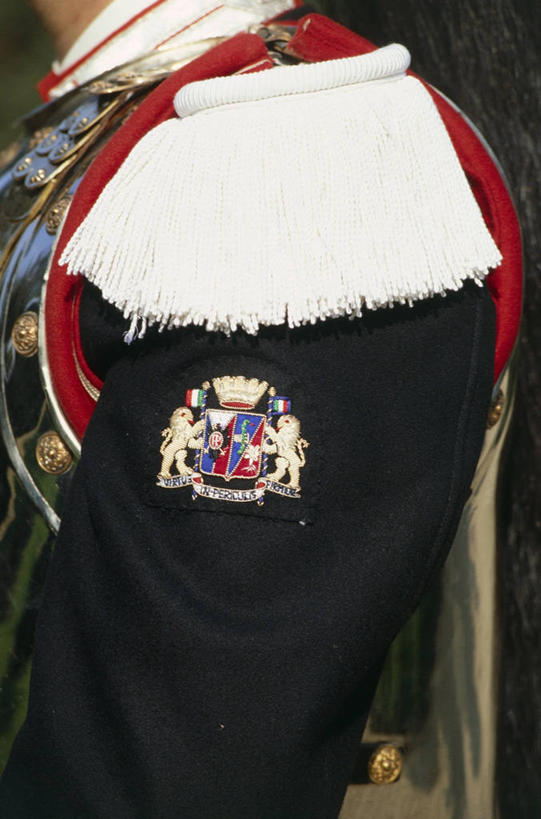 成年人,一个人,竖图,室外,特写,白天,侧面,仅一个男性,士兵,装饰,军事,历史,摄影,部分,袖子,军服,盾形徽章,彩图