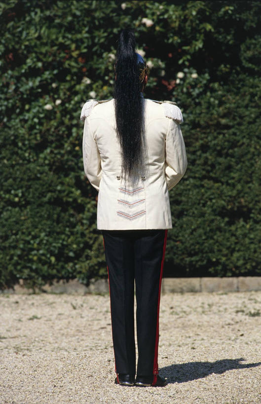 成年人,一个人,站,竖图,室外,白天,制服,植物,意大利,仅一个男性,士兵,军事,头盔,头饰,拿着,历史,背面,夏天,摄影,灌木,军服,仪仗队,彩图,传统服装,传统文化