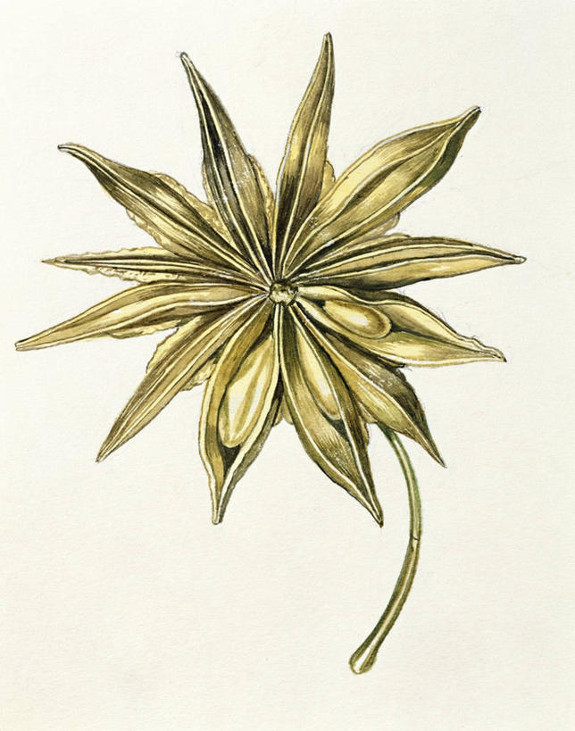 无人,竖图,插画,特写,白色背景,数码,科技,美景,阴影,对称,网络,景观,茎,种子,高光,几何,计算机图形,合成,图画,画,自然,景色,电脑合成图,数码合成图,生物学,合成图,自然风光,漫画,写实,具体,具象,毛囊,美术工艺,彩图