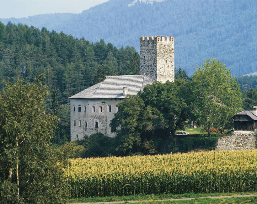 无人,横图,室外,白天,旅游,度假,农业,农作物,烟囱,美景,山,植物,意大利,欧洲,城堡,屋顶,景观,图像,历史,娱乐,草,树,自然,享受,休闲,概念,景色,放松,摄影,宁静,人造,地中海文化,南欧,自然风光,主题,地貌,意大利共和国,构图,特伦蒂诺.上阿迪杰大区,彩图,旅行,博尔扎诺,时空,传统文化