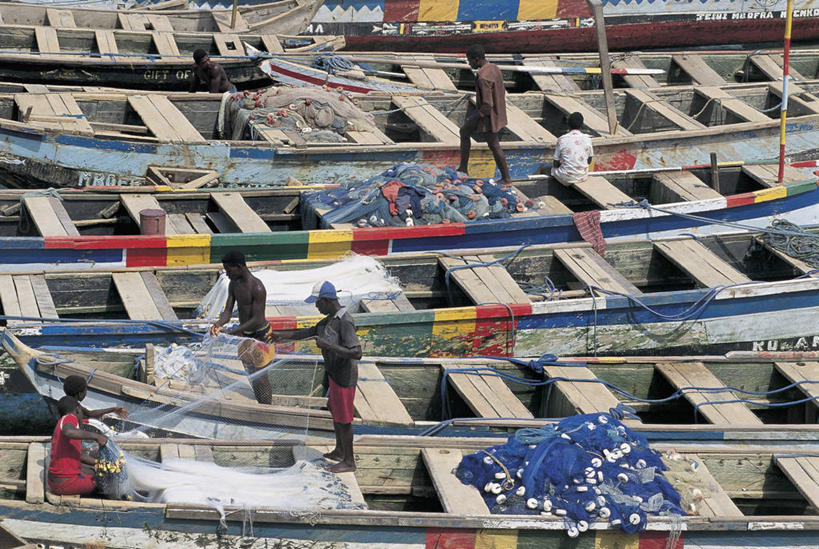 西方人,儿童,人群,站,坐,横图,俯视,室外,白天,侧面,纯洁,渔业,机器,船,欧洲,非洲,加纳,黑人,欧洲人,五个人,准备,朦胧,模糊,图像,拿着,休闲装,背面,衣服,职业,概念,机械,可爱,童年,童趣,运输,摄影,年龄,人造,近景,主题,鱼网,视角,童真,烂漫,无邪,构图,西非,天真,男人,男性,非洲人,彩图,高角度拍摄,钓鱼,时空,农业机械