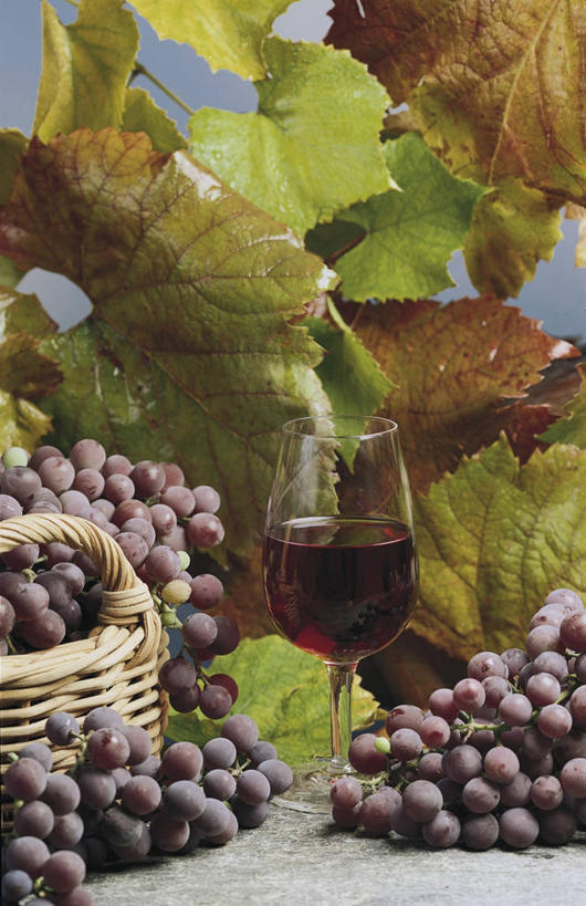 葡萄酒,无人,竖图,室内,特写,葡萄,水果,叶子,透明,篮子,酒类,串,饮食,酒,饮料,红葡萄酒,摄影,葡萄酒杯,彩图,红葡萄