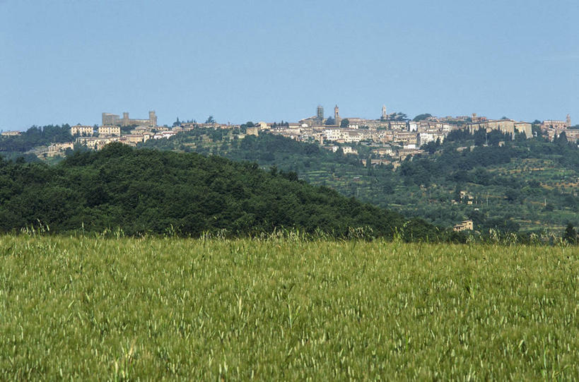 无人,横图,室外,白天,旅游,度假,农业,农作物,美景,建筑,意大利,欧洲,地形,景观,田地,城镇,娱乐,树,自然,享受,休闲,景色,放松,摄影,生长,地中海文化,自然风光,意大利文化,托斯卡纳区,维得斯卡,万里无云,彩图,蒙塔西诺