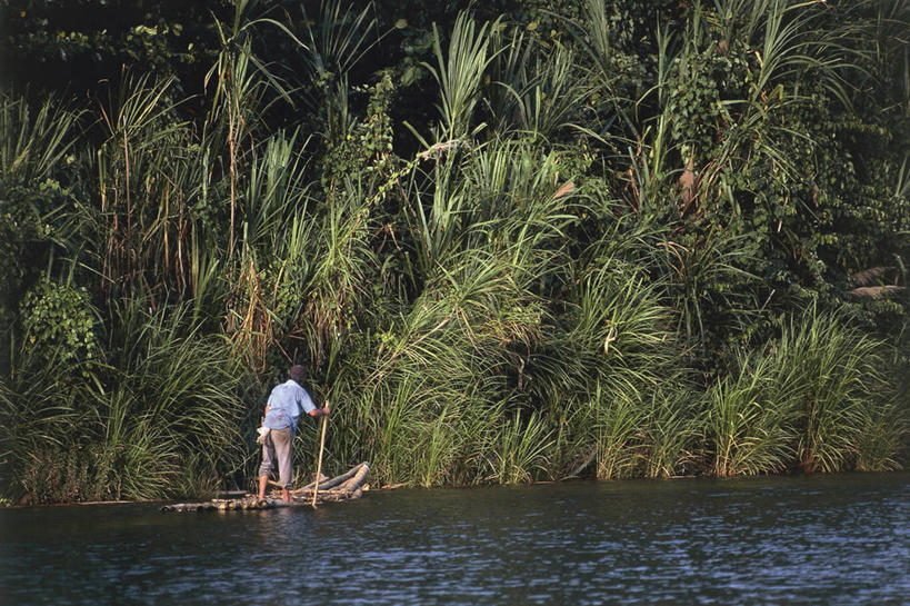 一个人,站,横图,室外,白天,河流,森林,古巴,加勒比海,仅一个男性,朦胧,模糊,拿着,休闲装,树,背面,绿色,大西洋,运输,摄影,西印度群岛,拉丁美洲,木筏,危险,彩图,旅行