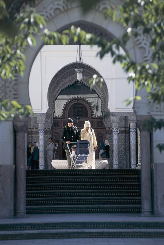 人群,站,竖图,室外,白天,正面,建筑,叶子,法国,巴黎,欧洲,朦胧,模糊,拱门,枝,首都,拿着,台阶,摄影,宗教,伊斯兰教,宗教建筑,地中海文化,清真寺,折叠童车,灵性,法兰西岛大区,男人,女人,步行,彩图