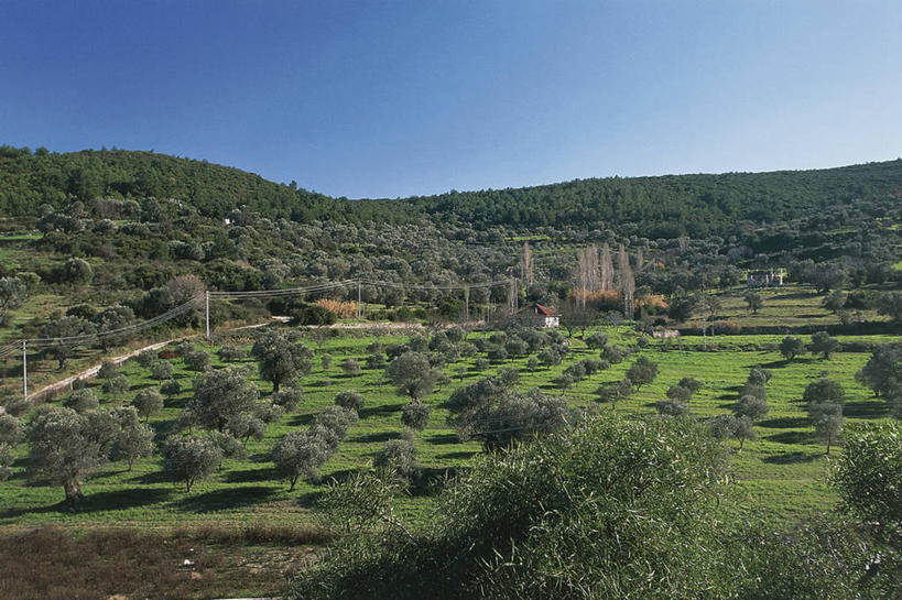 无人,横图,室外,白天,旅游,度假,美景,山,土耳其,亚洲,阴影,电缆,地形,光,景观,田地,娱乐,树,绿色,风景,天空,自然,享受,休闲,景色,放松,摄影,灌木,宁静,中东,自然风光,西亚,马尔马拉海地区,伊斯坦布尔,伊兹密尔,彩图,旅行,土耳其共和国,输电塔,爱琴海地区