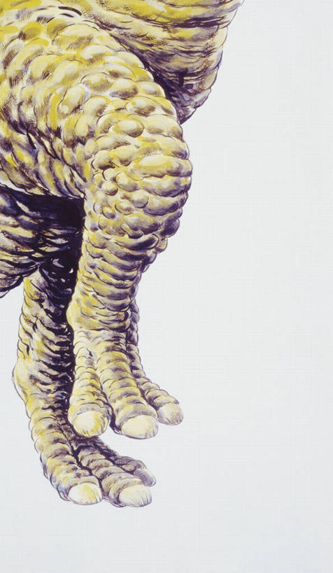 无人,竖图,插画,特写,白色背景,数码,科技,野生动物,阴影,网络,高光,几何,计算机图形,合成,图画,历史,画,白色,动物,恐龙,部分,电脑合成图,数码合成图,合成图,漫画,写实,具体,具象,冠龙,古代史,地质学,史前时代,彩图,中生代,白垩系,过去,古生物学