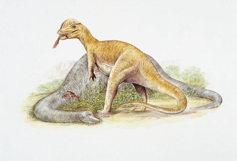 无人,站,躺,吃,横图,插画,室外,白天,数码,科技,野生动物,阴影,网络,捕食,高光,几何,计算机图形,合成,图画,历史,画,自然,动物,两只,恐龙,环境,电脑合成图,数码合成图,合成图,漫画,写实,具体,具象,侏罗纪,古代史,地质学,史前时代,彩图,双脊龙,中生代,过去,古生物学