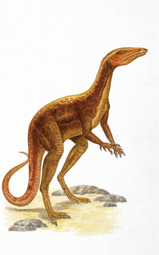 无人,站,竖图,插画,室外,白天,白色背景,数码,科技,野生动物,阴影,网络,高光,几何,计算机图形,合成,图画,历史,画,白色,动物,恐龙,电脑合成图,数码合成图,合成图,漫画,远古,写实,具体,具象,三叠纪,古代史,地质学,史前时代,彩图,年代,地质年代,地质时代,时代,显生宙,中生代,过去,古生物学