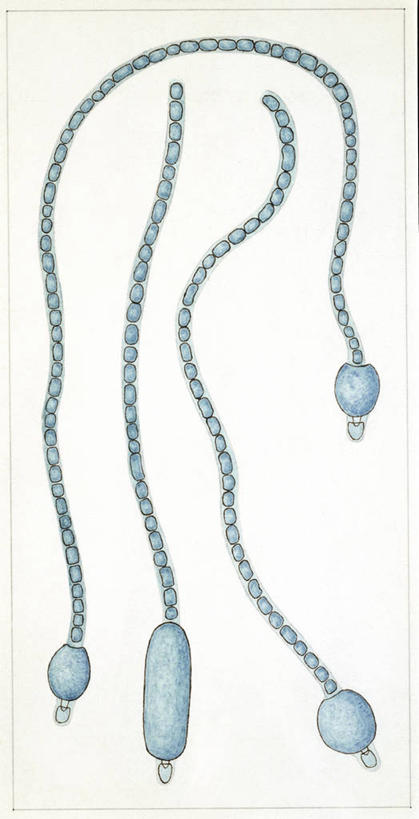 无人,竖图,全景,插画,白色背景,数码,科技,植物,阴影,网络,高光,几何,计算机图形,联系,合成,图画,画,三个,自然,铁环,锁链,链条,电脑合成图,数码合成图,生物学,束缚,合成图,限制,漫画,写实,具体,具象,约束,彩图,链环