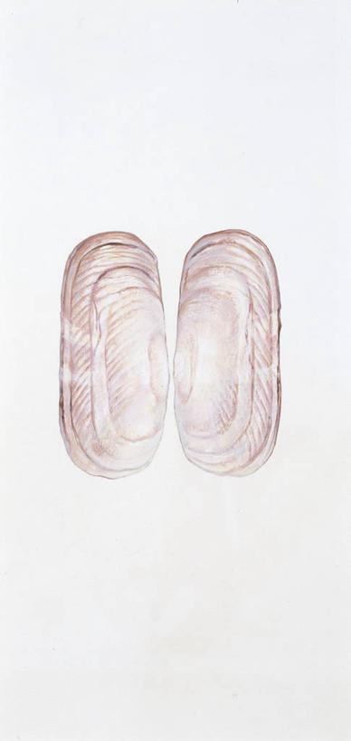 无人,竖图,方图,全景,插画,数码,科技,阴影,科学,网络,高光,几何,计算机图形,合成,图画,画,动物,蛤,软体动物,电脑合成图,数码合成图,生物学,合成图,漫画,写实,具体,具象,彩图,双壳贝,动物学